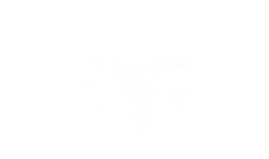Gotland Noir
